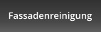 Fassadenreinigung